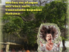 Las ‘denegaciones’ crecen en Cuba