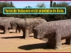 Conociendo Hispania, CCAA Castilla y León: provincia de Ávila